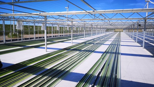 Photanol doorstart.jpg